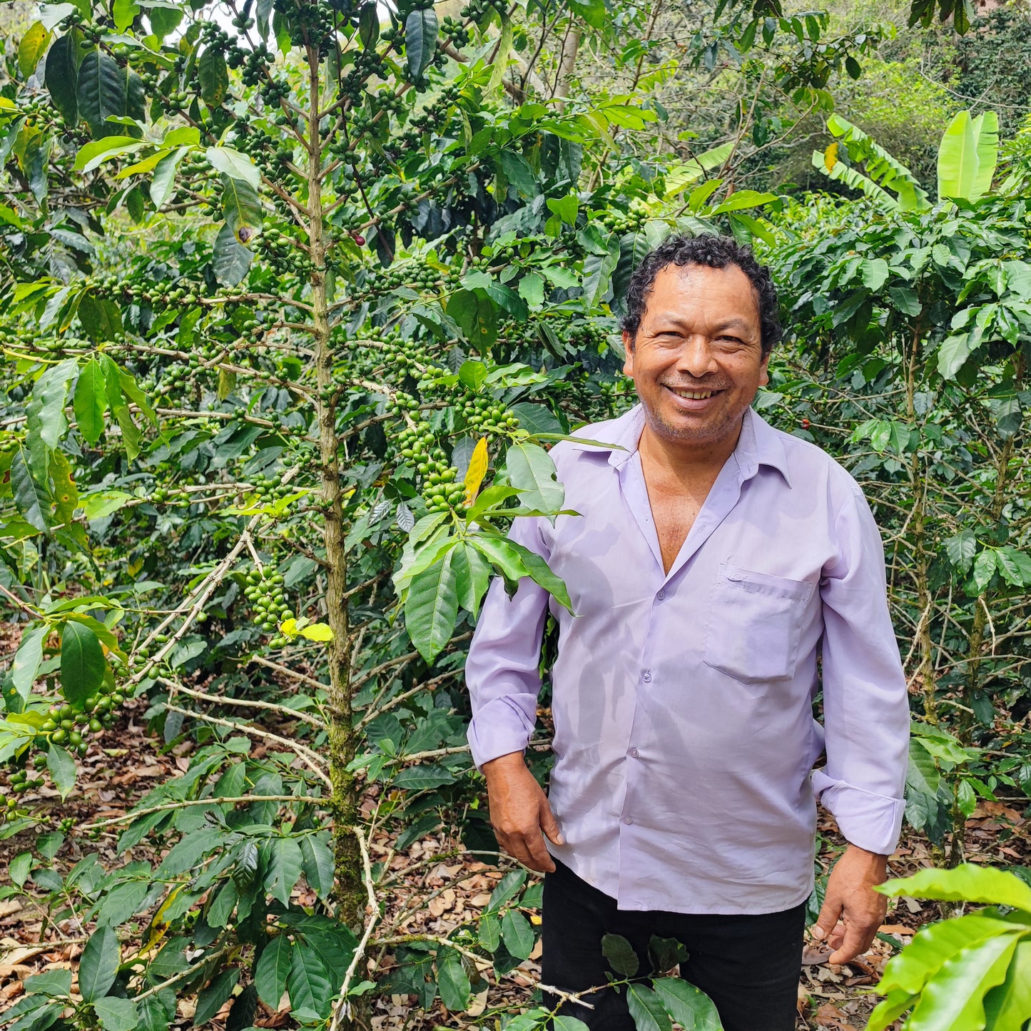 Café do Peru | Llanos y Vecinos