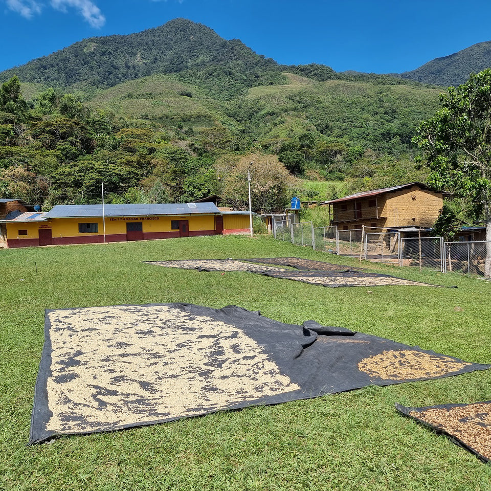Café do Peru | Llanos y Vecinos