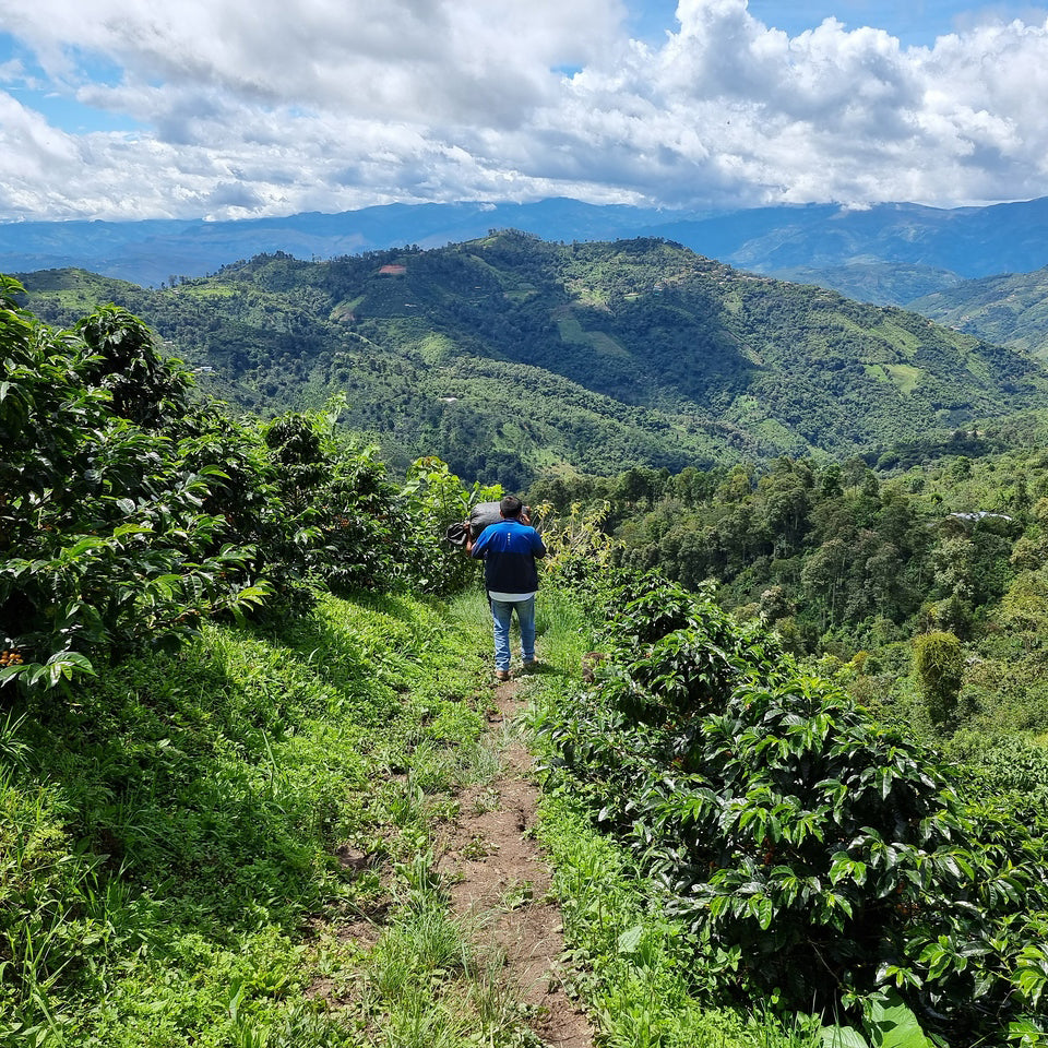 Café do Peru | Llanos y Vecinos