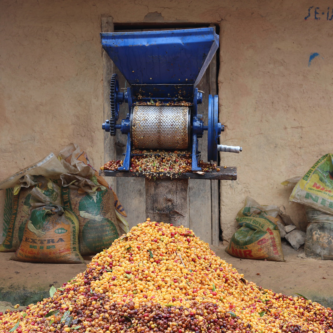 Café do Peru | Llanos y Vecinos