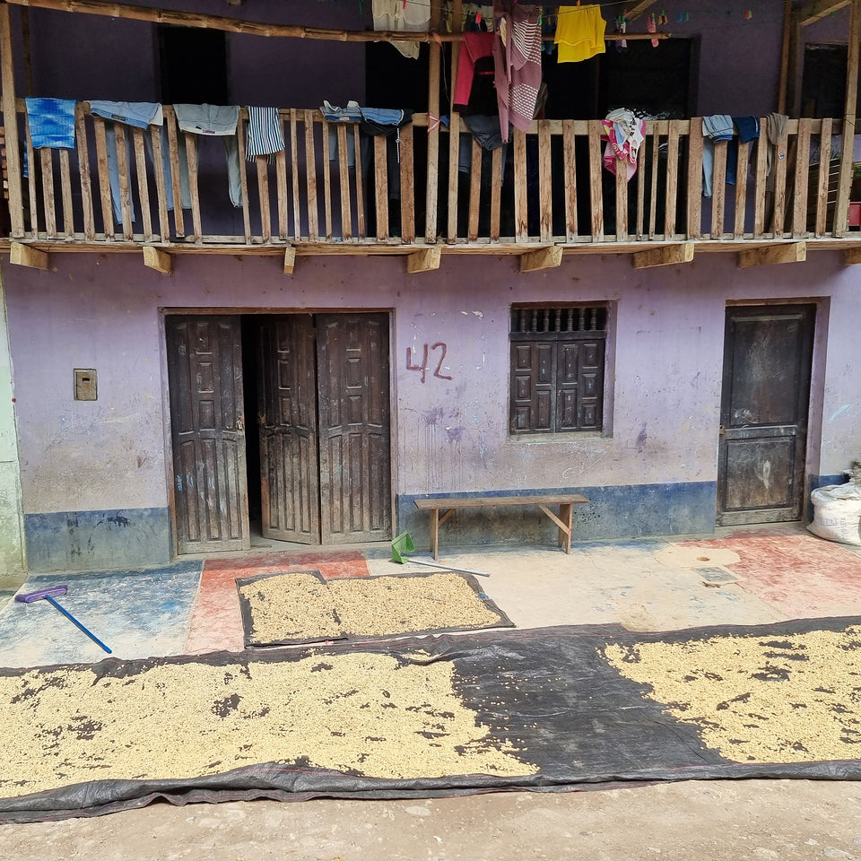 Café do Peru | Llanos y Vecinos