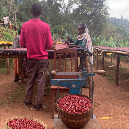 Café da Etiópia | Wanza