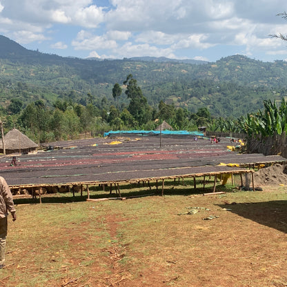Café da Etiópia | Wanza