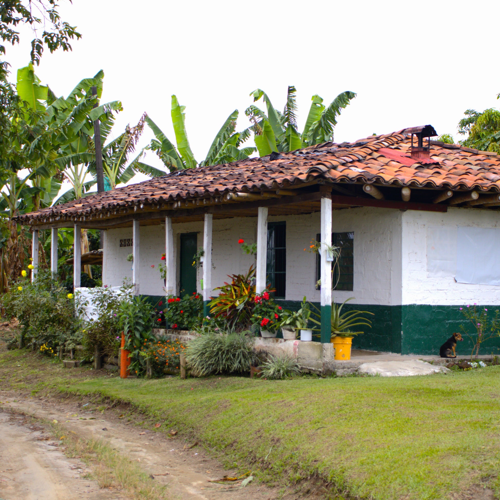 A Sargento Specialty Coffee Lisboa Cafe da Colombia Luz dos Andes