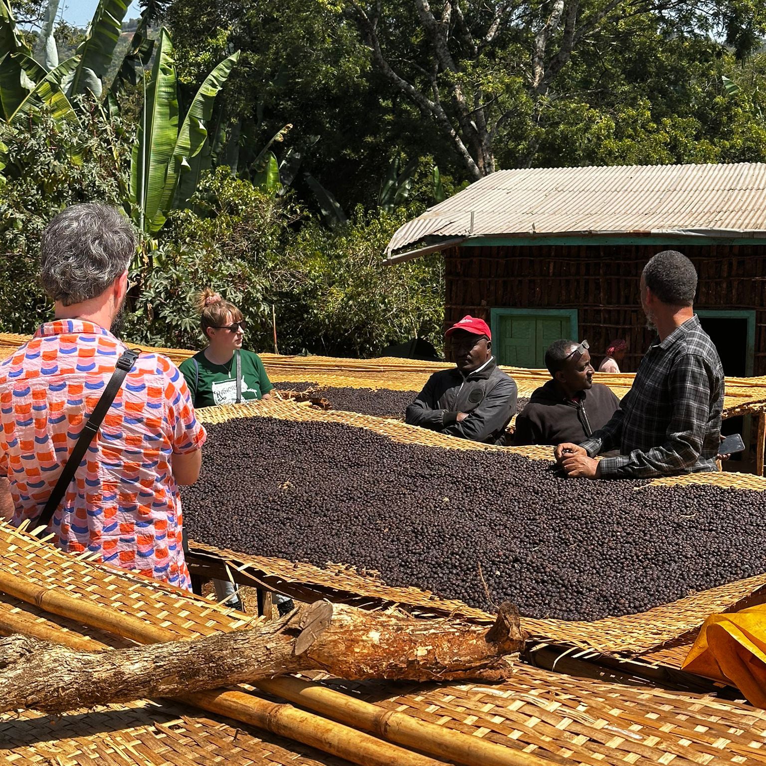 A Sargento Specialty Coffee Lisboa Cafe da Etiópia Onda de Gedeb 5