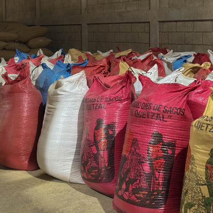 A Sargento Specialty Coffee Lisboa Cafe da Guatemala Eterna Primavera 6