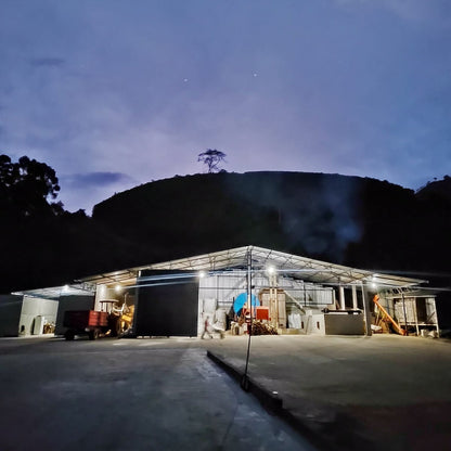 A Sargento Specialty Coffee Lisboa Cafe do Brasil Carolini 2