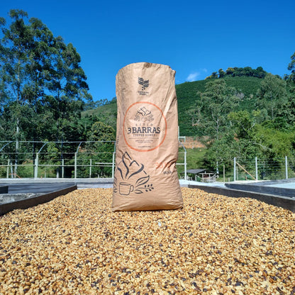 A Sargento Specialty Coffee Lisboa Cafe do Brasil Carolini 6