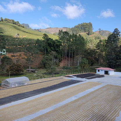 A Sargento Specialty Coffee Lisboa Cafe do Brasil Carolini 7