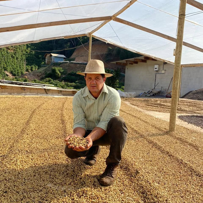 A Sargento Specialty Coffee Lisboa Cafe do Brasil Montanhas do Caparao 2