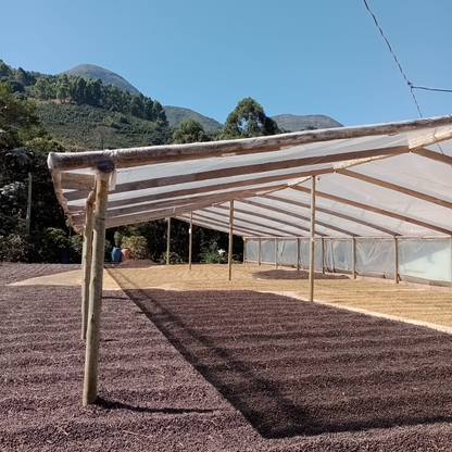 A Sargento Specialty Coffee Lisboa Cafe do Brasil Montanhas do Caparao 5