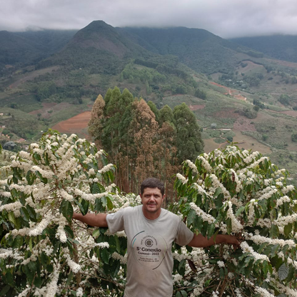 A Sargento Specialty Coffee Lisboa Cafe do Brasil Montanhas do Caparao 7
