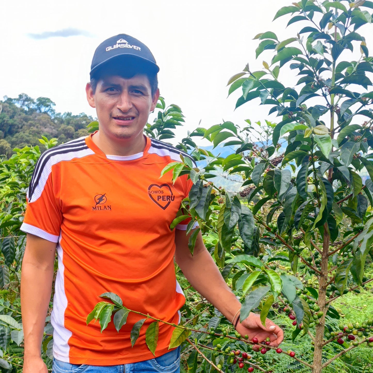 A Sargento Specialty Coffee Lisboa Cafe do Peru Pueblo Huabal 2