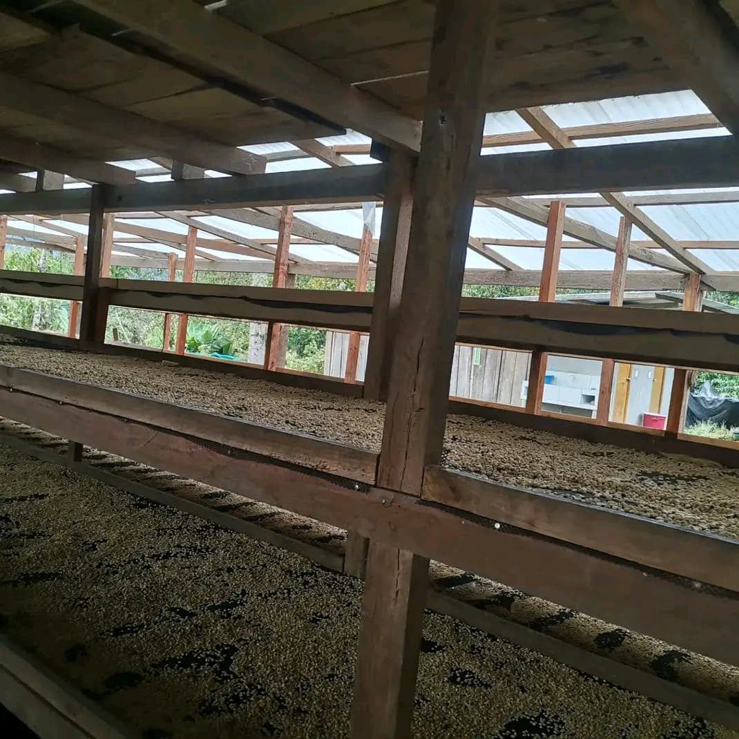 A Sargento Specialty Coffee Lisboa Cafe do Peru Pueblo Huabal 4