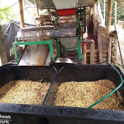 A Sargento Specialty Coffee Lisboa Descafeinado La Meseta 5