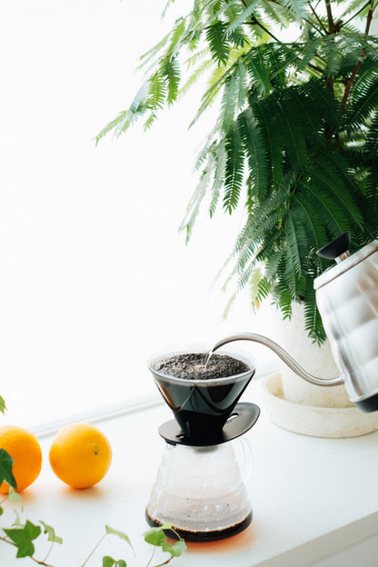 A Sargento Specialty Coffee Lisboa V60 Coador One Pour Mugen Hario 2