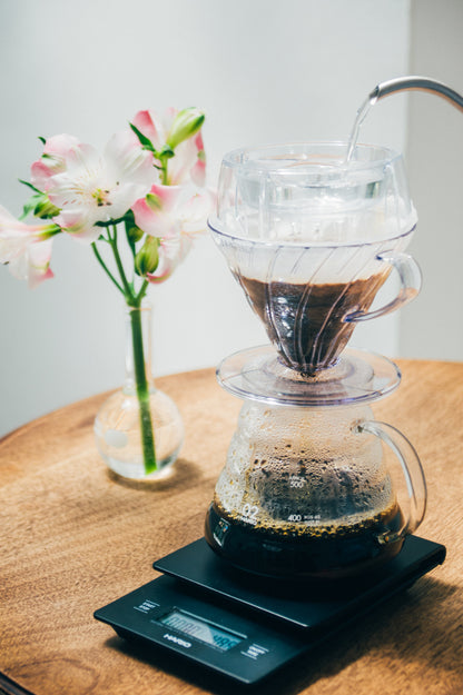 A Sargento V60 02 Transparente Drip-Assist Set Hario 4