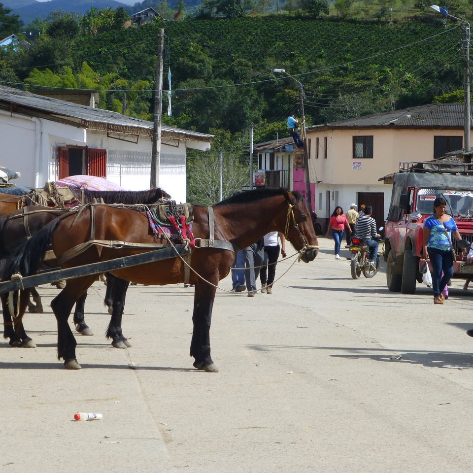 Café da Colômbia | La Meseta, Decaf