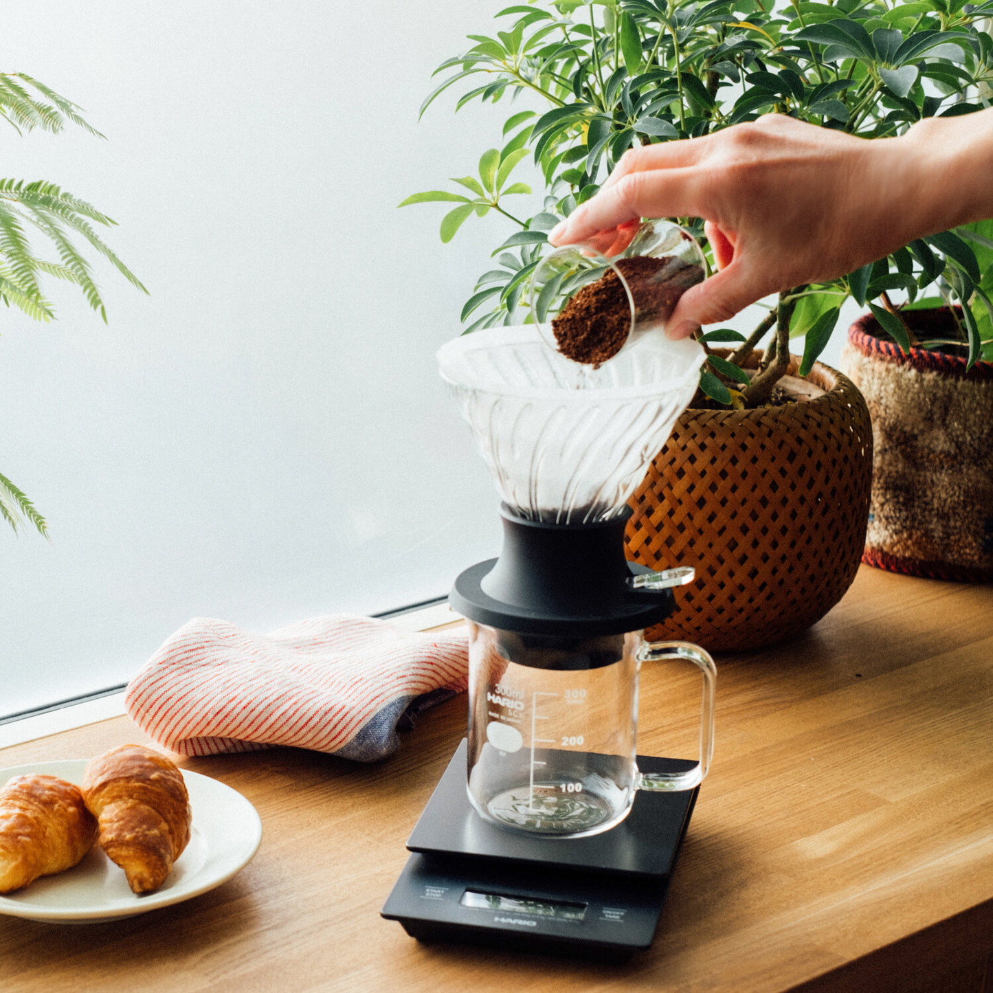 V60 Coador de Imersão Switch Hario