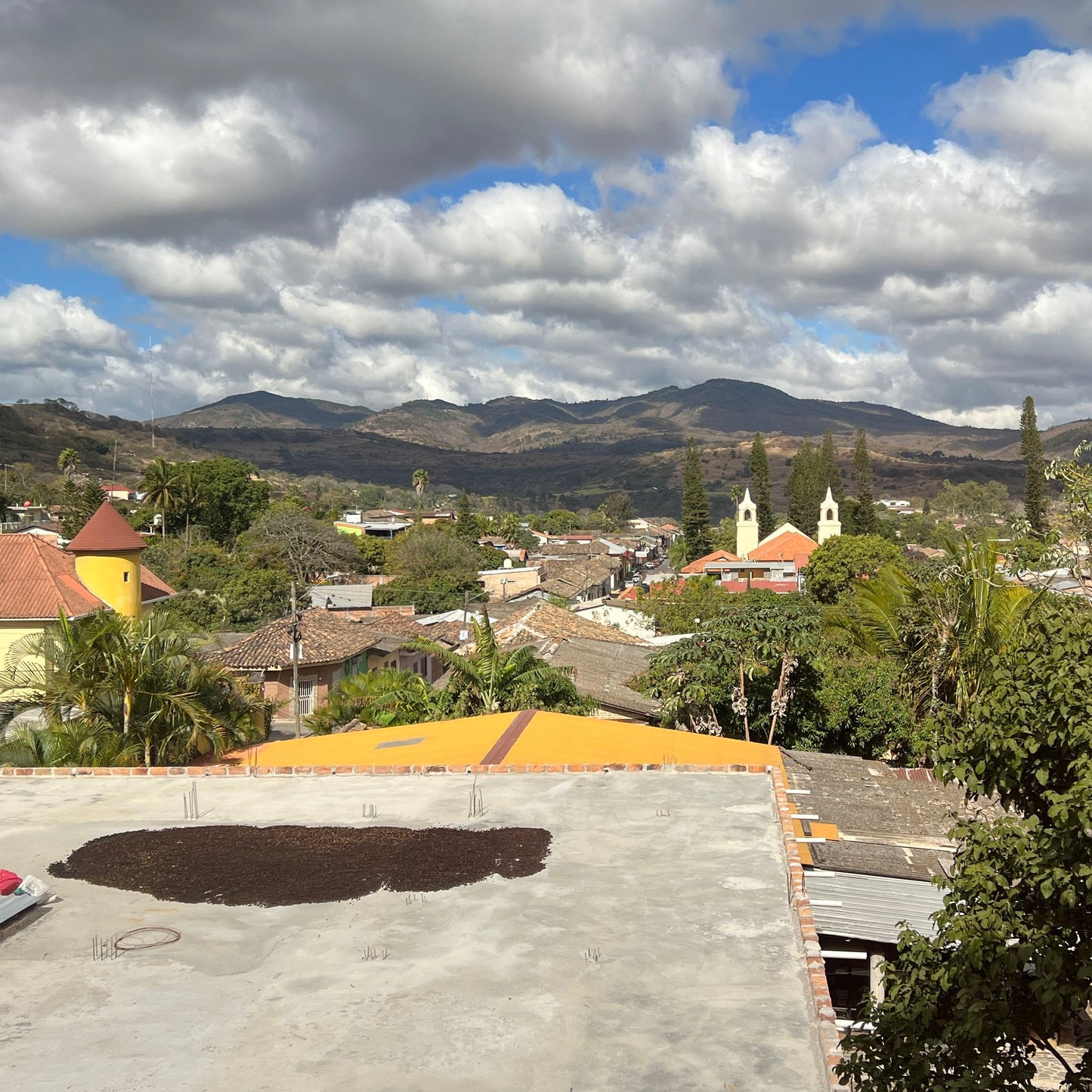 Café das Honduras | De La Paz