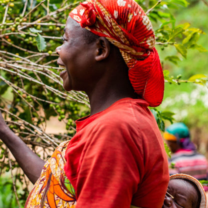 Café do Burundi | Ruvubu